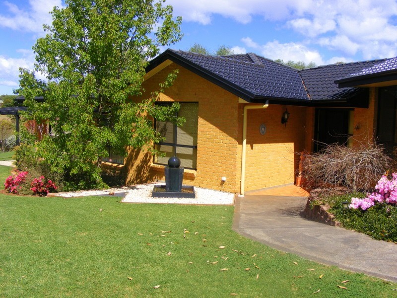 Dorrigo NSW 2453