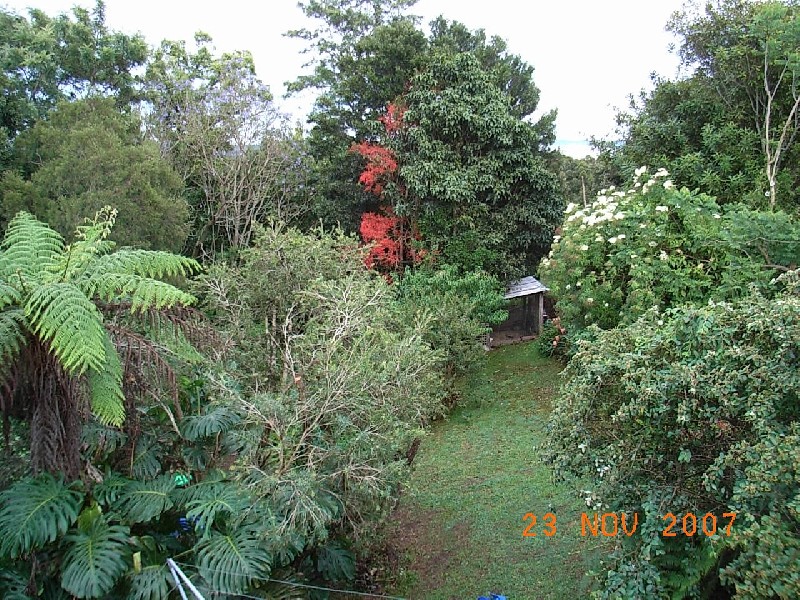 7 Hunter Street, Repton NSW 2454