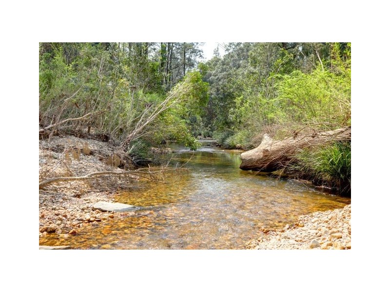 1690 Kalang Rd Kalang, Bellingen NSW 2454