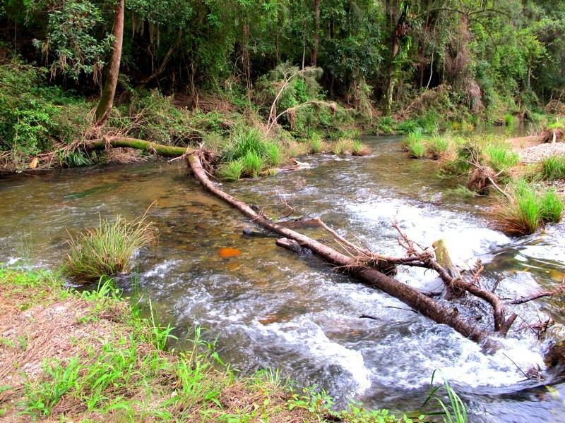 2196 Darkwood Rd, Bellingen NSW 2454