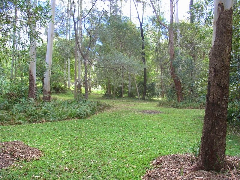 12 Cabbage Tree Close Repton, Bellingen NSW 2454