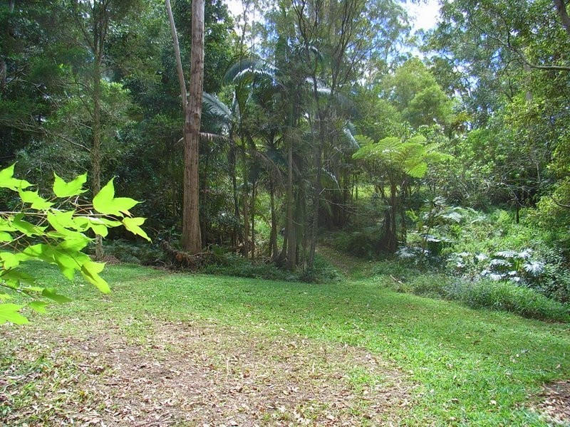 12 Cabbage Tree Close Repton, Bellingen NSW 2454