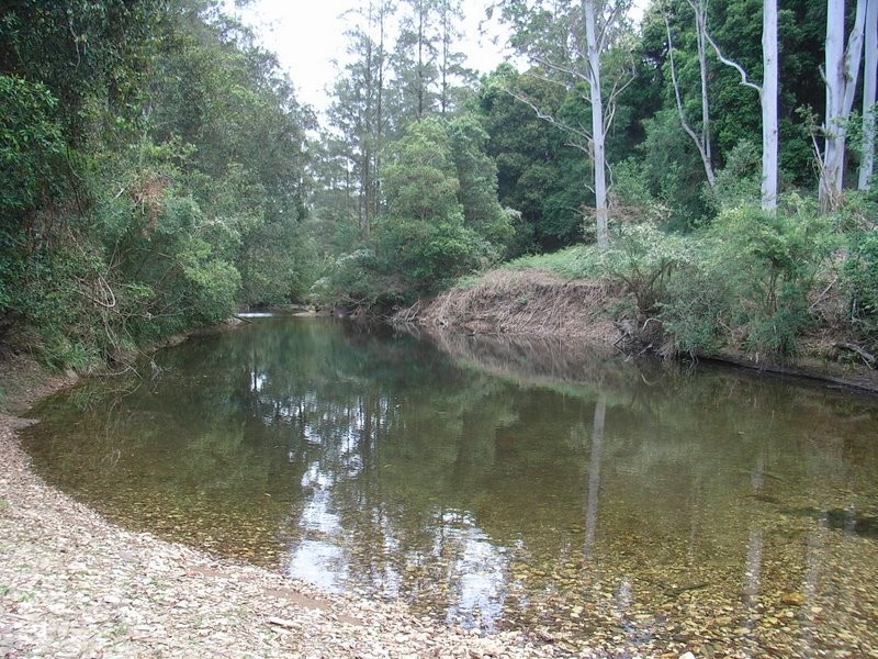 1650 Kalang Road, Bellingen NSW 2454