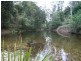 1650 Kalang Road, Bellingen NSW 2454
