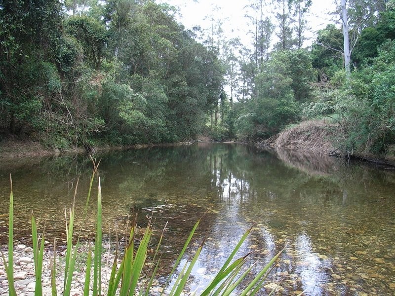 1650 Kalang Road, Bellingen NSW 2454