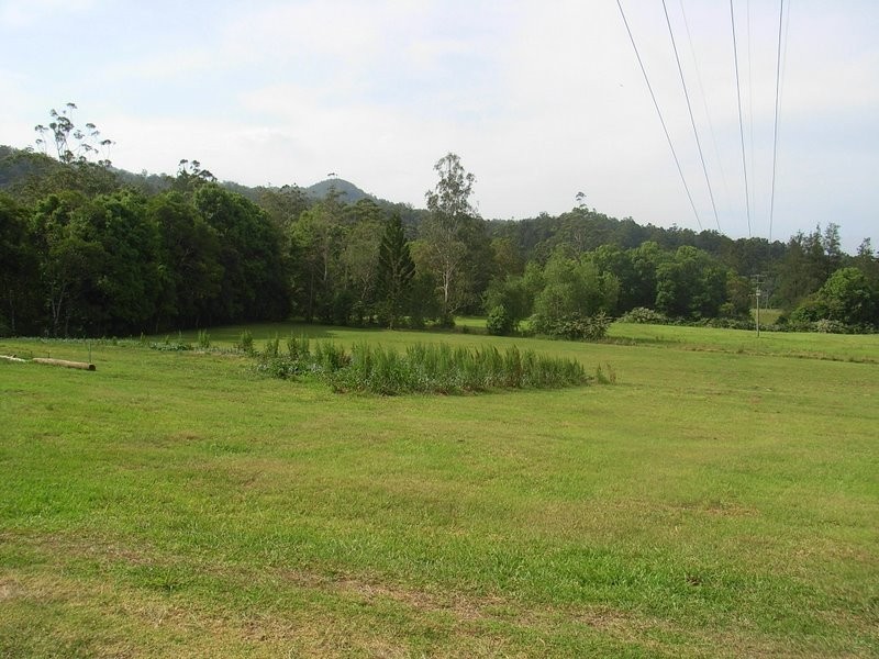 1650 Kalang Road, Bellingen NSW 2454