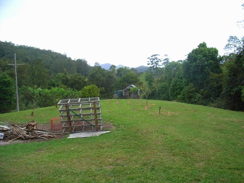 1650 Kalang Road, Bellingen NSW 2454