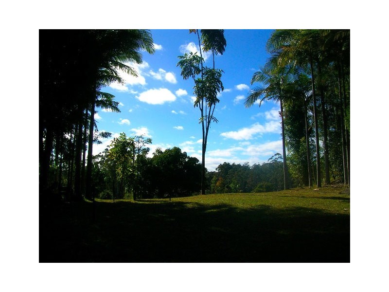 768 Hydes Creek Rd Valery, Bellingen NSW 2454