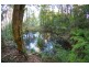 768 Hydes Creek Rd Valery, Bellingen NSW 2454
