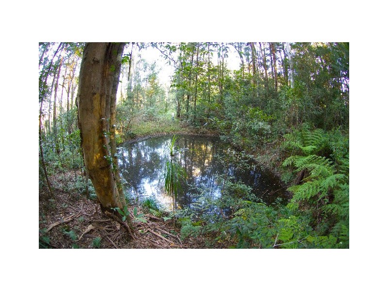 768 Hydes Creek Rd Valery, Bellingen NSW 2454