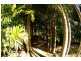 768 Hydes Creek Rd Valery, Bellingen NSW 2454