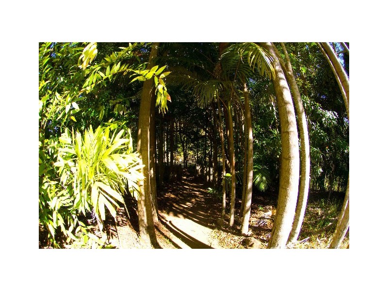 768 Hydes Creek Rd Valery, Bellingen NSW 2454