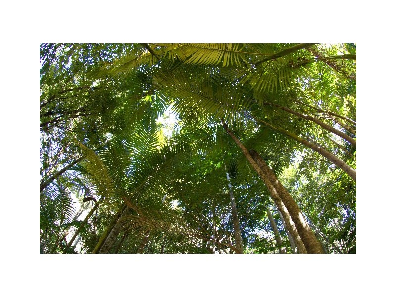 768 Hydes Creek Rd Valery, Bellingen NSW 2454