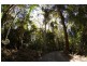 768 Hydes Creek Rd Valery, Bellingen NSW 2454