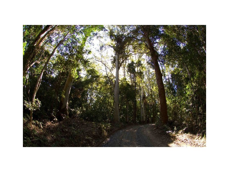 768 Hydes Creek Rd Valery, Bellingen NSW 2454