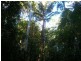 768 Hydes Creek Rd Valery, Bellingen NSW 2454