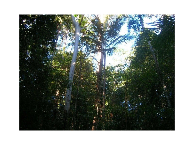 768 Hydes Creek Rd Valery, Bellingen NSW 2454