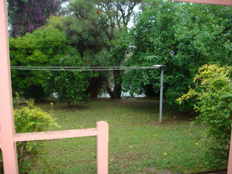 Bellingen NSW 2454