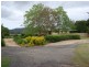 Bellingen NSW 2454
