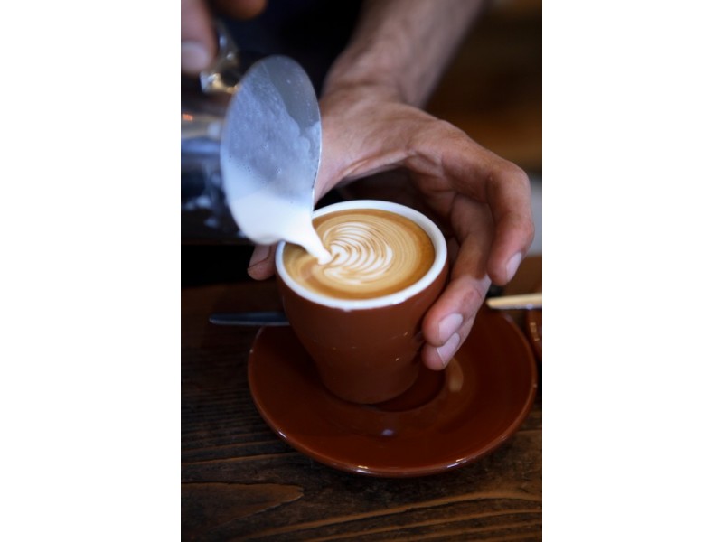 63 Hyde Street, Bellingen NSW 2454