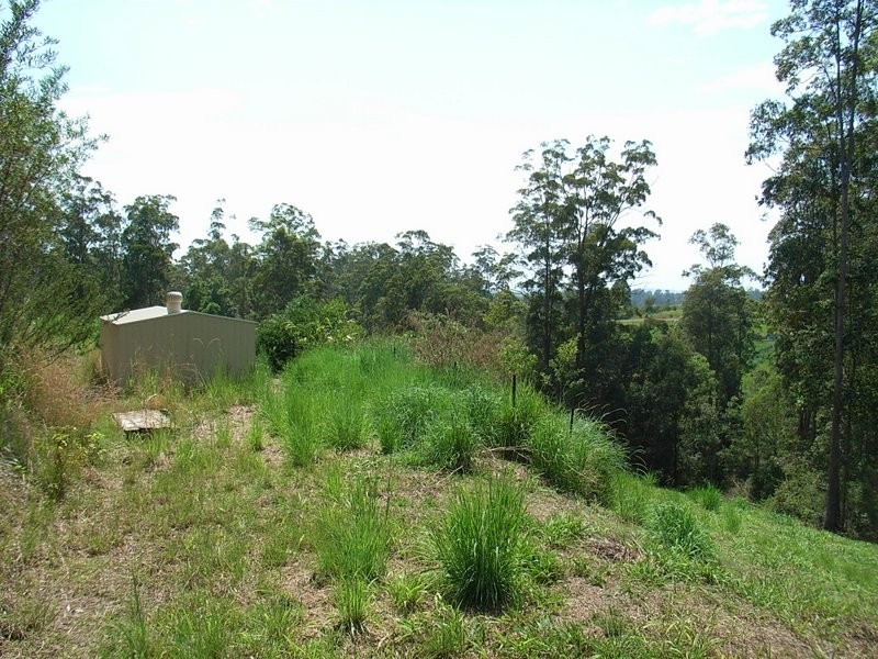 136 Mahers Road, Bellingen NSW 2454