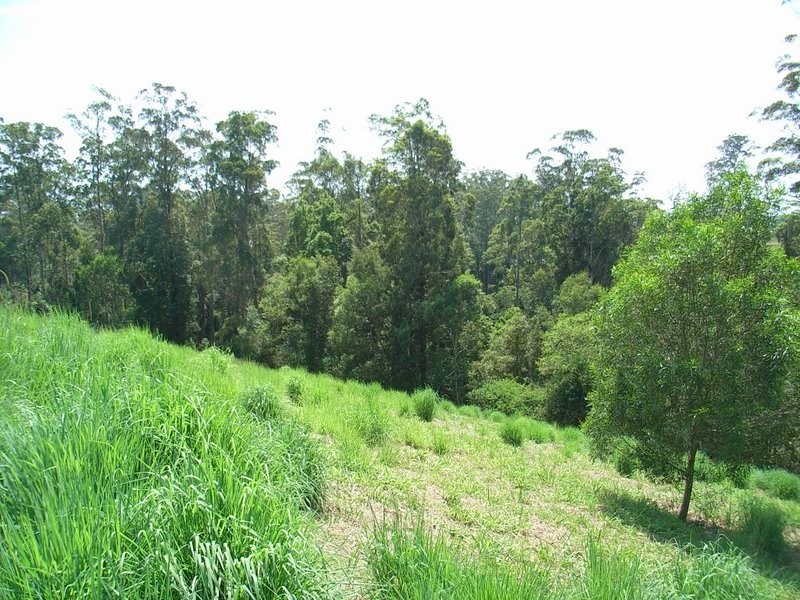 136 Mahers Road, Bellingen NSW 2454