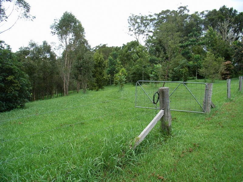 Bellingen NSW 2454