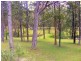 1312 Martells Road, Bellingen NSW 2454