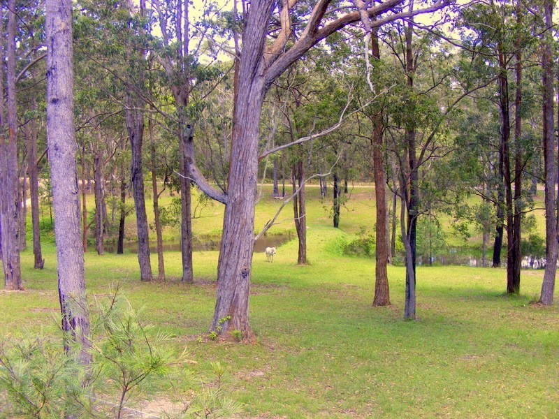 1312 Martells Road, Bellingen NSW 2454
