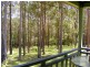 1312 Martells Road, Bellingen NSW 2454