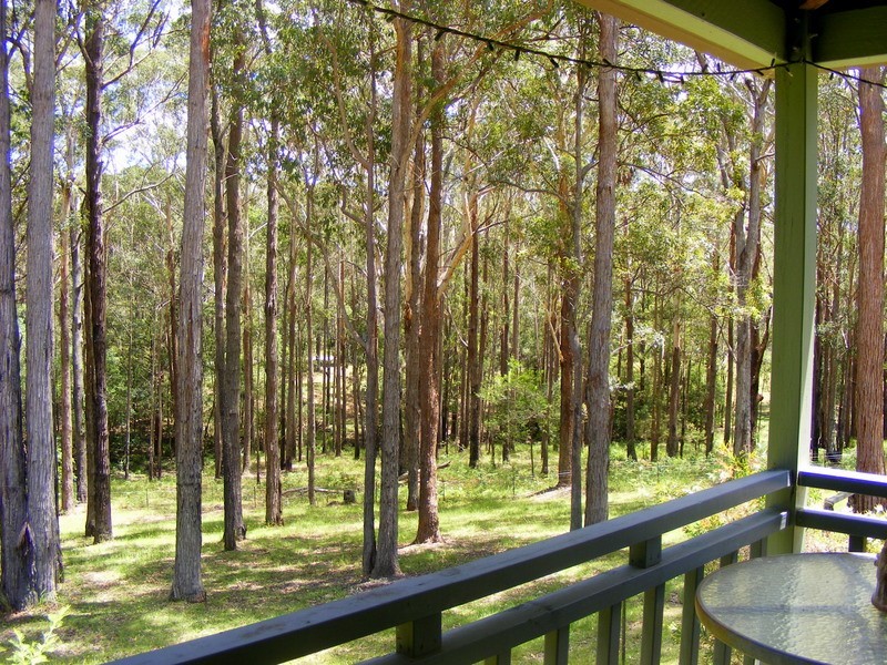 1312 Martells Road, Bellingen NSW 2454