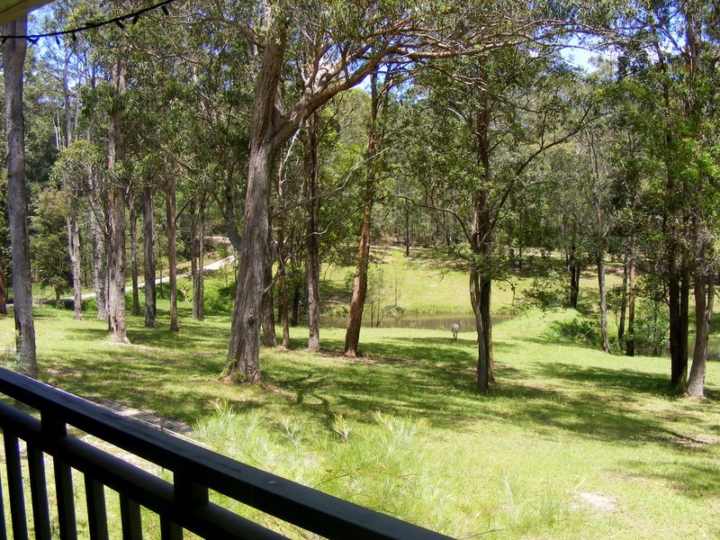 1312 Martells Road, Bellingen NSW 2454