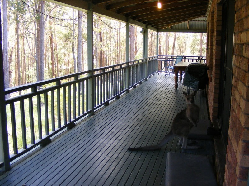 1312 Martells Road, Bellingen NSW 2454