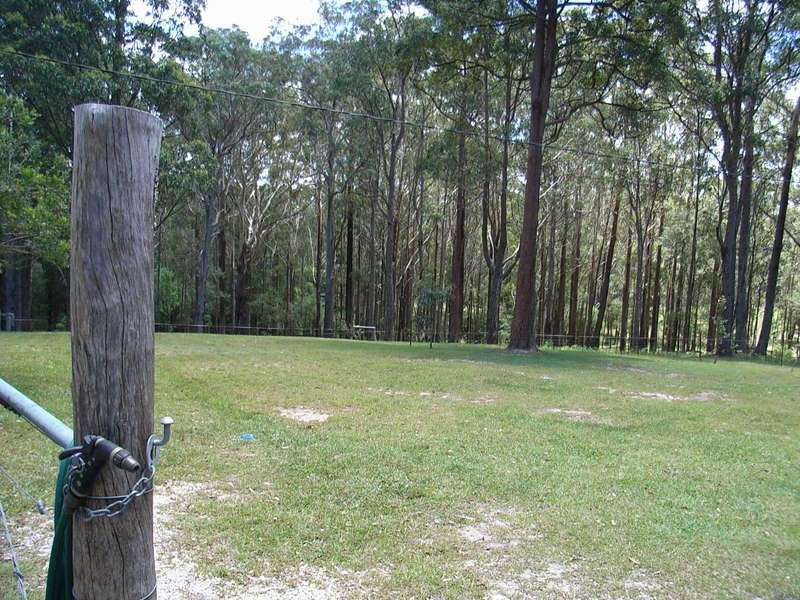 1312 Martells Road, Bellingen NSW 2454