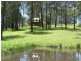 1312 Martells Road, Bellingen NSW 2454