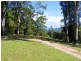 88 Basin Road, Bellingen NSW 2454