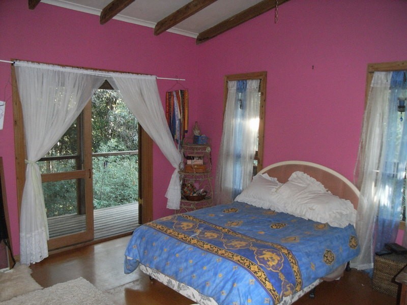 88 Basin Road, Bellingen NSW 2454