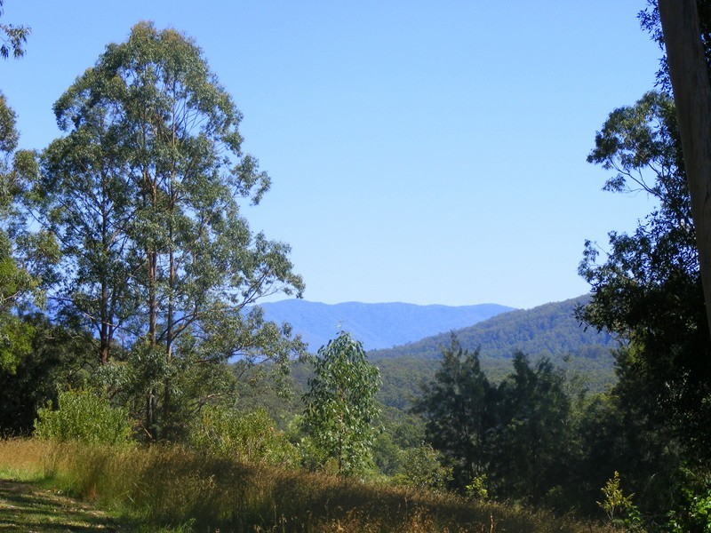 88 Basin Road, Bellingen NSW 2454