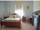 647 Waterfall Way Fernmount, Bellingen NSW 2454