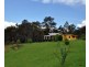 1829 Tyringham Rd Bostobrick, Dorrigo NSW 2453