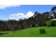 1829 Tyringham Rd Bostobrick, Dorrigo NSW 2453