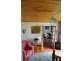 1829 Tyringham Rd Bostobrick, Dorrigo NSW 2453