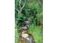 1829 Tyringham Rd Bostobrick, Dorrigo NSW 2453