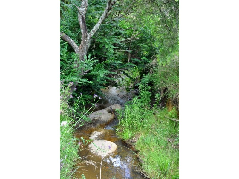 1829 Tyringham Rd Bostobrick, Dorrigo NSW 2453