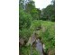 1829 Tyringham Rd Bostobrick, Dorrigo NSW 2453