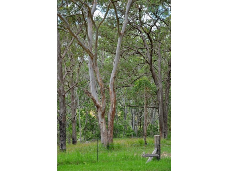 1829 Tyringham Rd Bostobrick, Dorrigo NSW 2453
