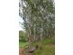 1829 Tyringham Rd Bostobrick, Dorrigo NSW 2453