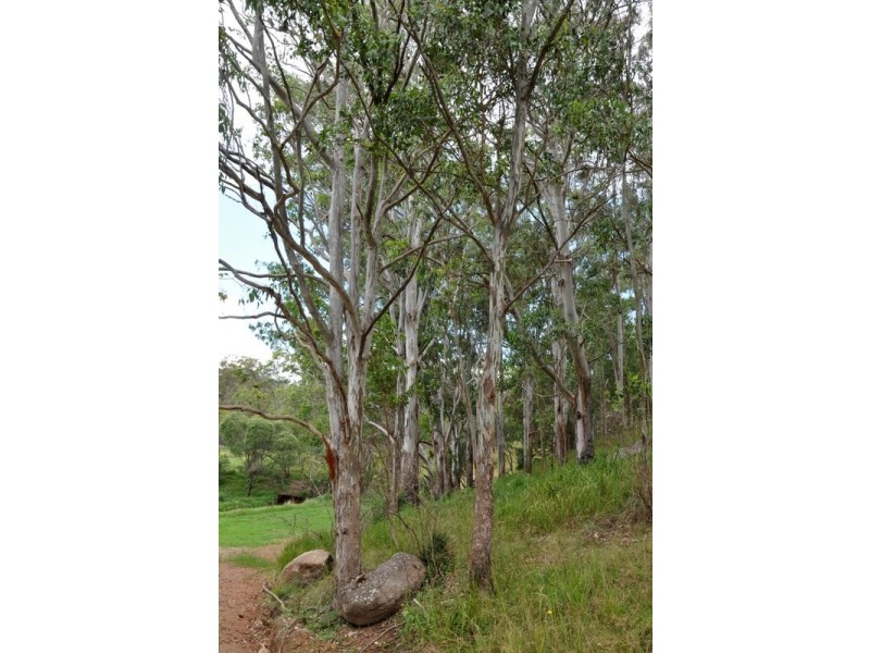 1829 Tyringham Rd Bostobrick, Dorrigo NSW 2453