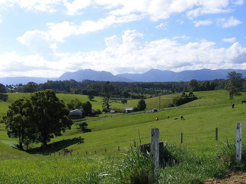 197 North Bank Road, Bellingen NSW 2454