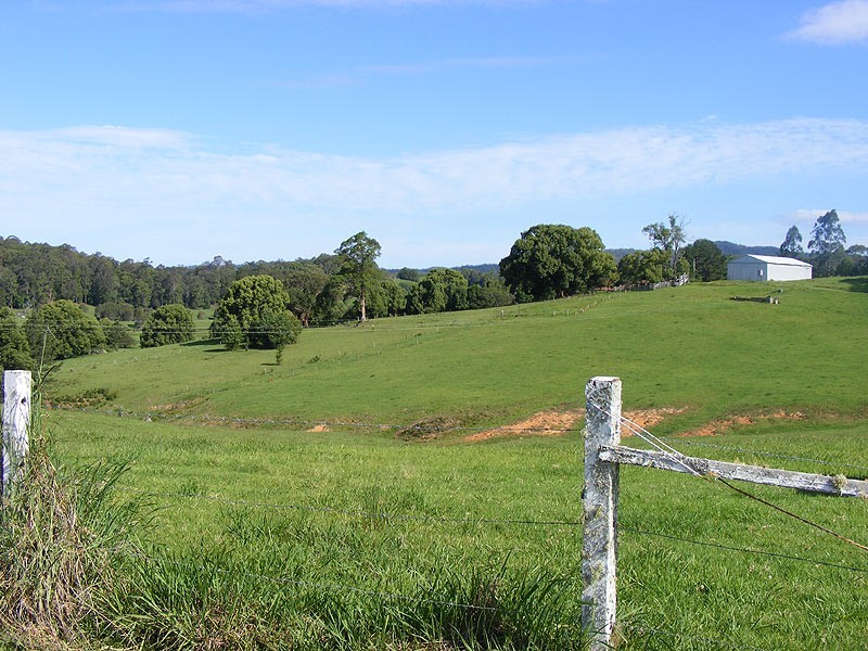 197 North Bank Road, Bellingen NSW 2454